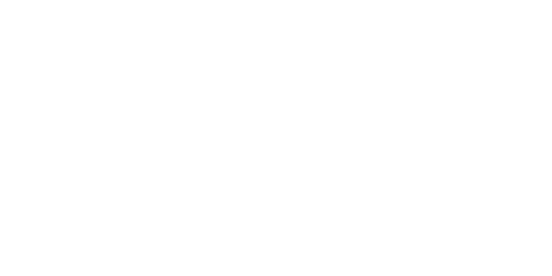 Okky logo wit