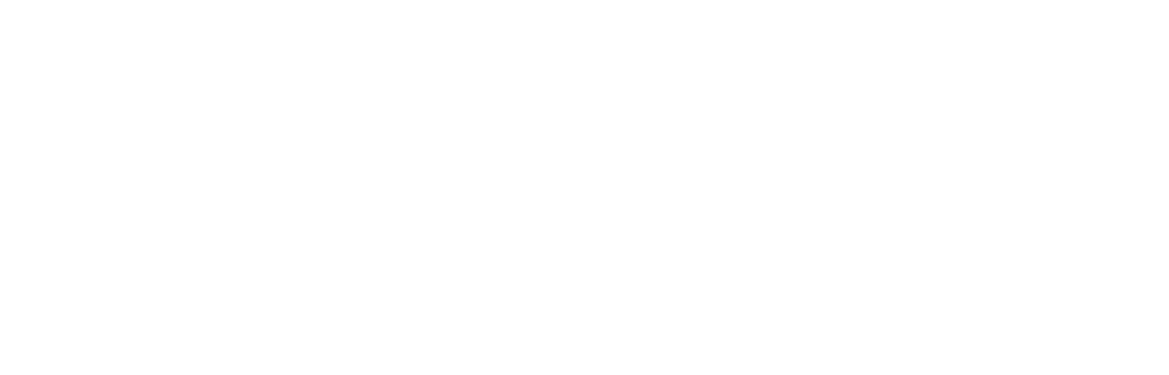 SpiegelbeeldLogo
